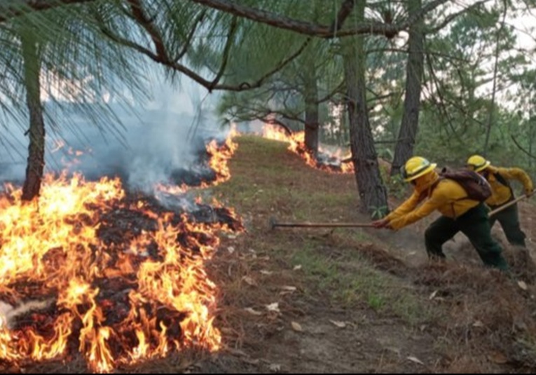 11 incendios forestales activos, según informe de CONRED 11-incendios-forestales-activos-segun-informe-de-conred-172627-172727.jpg