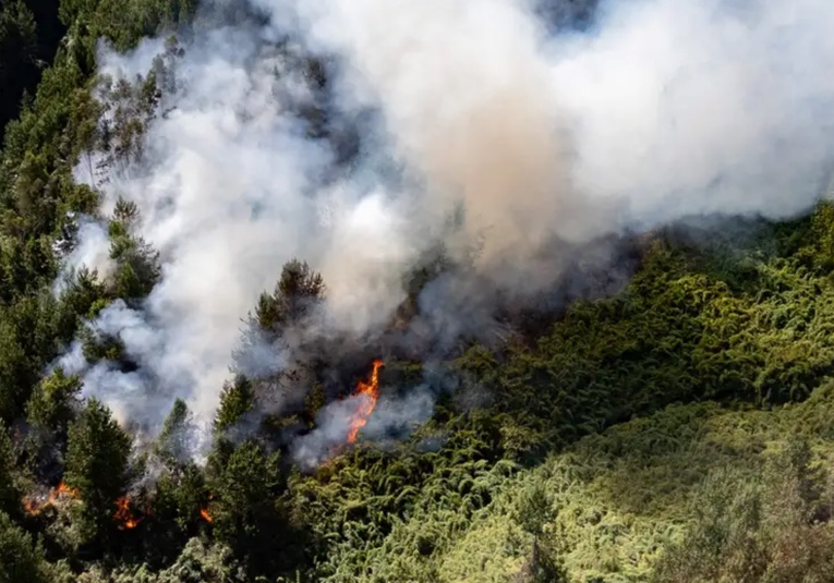 Alerta En Colombia Por Incendios Forestales Activos