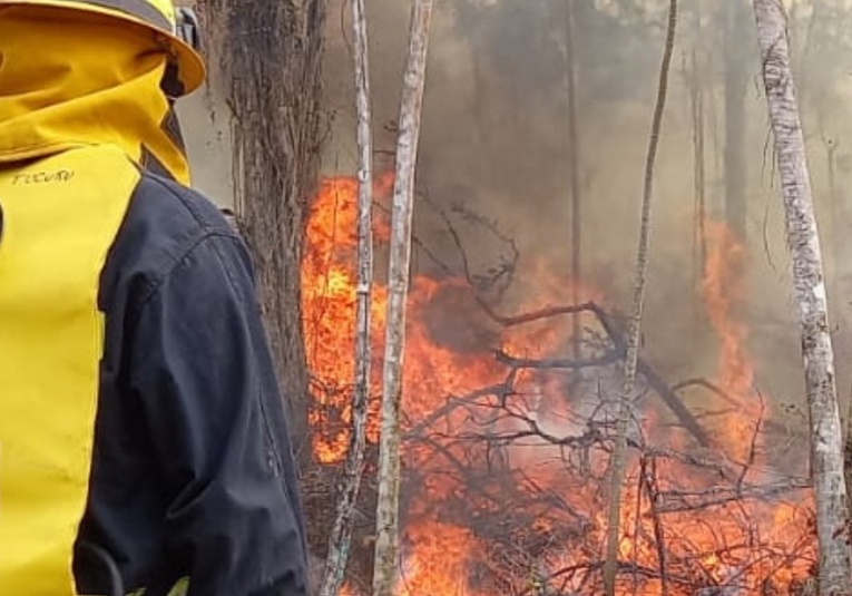 CONRED en alerta roja por 27 incendios forestales en el departamento de Petén conred-en-alerta-roja-por-27-incendios-forestales-en-el-departamento-de-peten-200436-200521.jpg