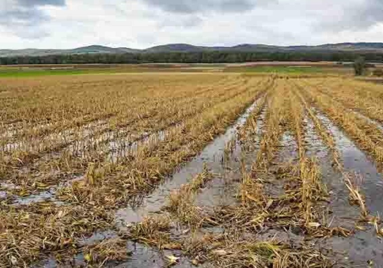 Ministerio de Agricultura Prevé Inundaciones y Activa Capacitación para Agricultores