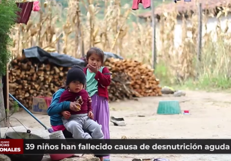 39 niños han fallecido a causa de desnutrición aguda 39-ninos-han-fallecido-a-causa-de-desnutricion-aguda-185048-185230.png