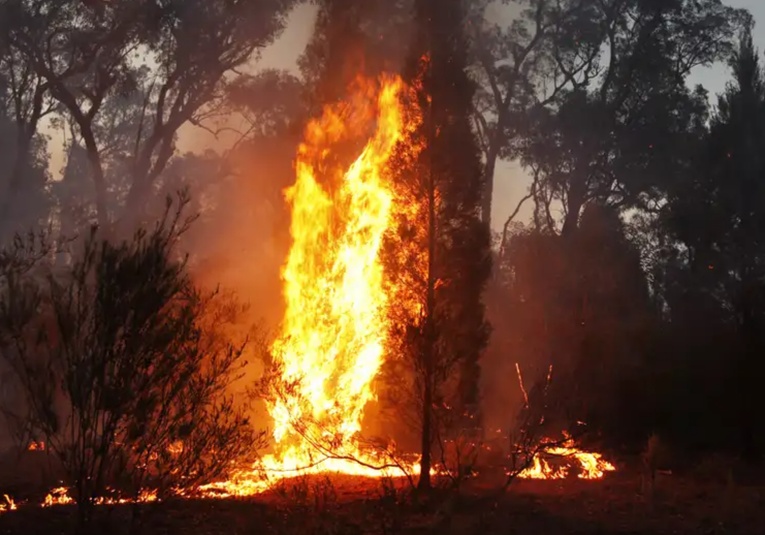 Australia evacua a 30.000 personas por incendios forestales australia-evacua-a-30-000-personas-por-incendios-forestales-094816-094832.jpg