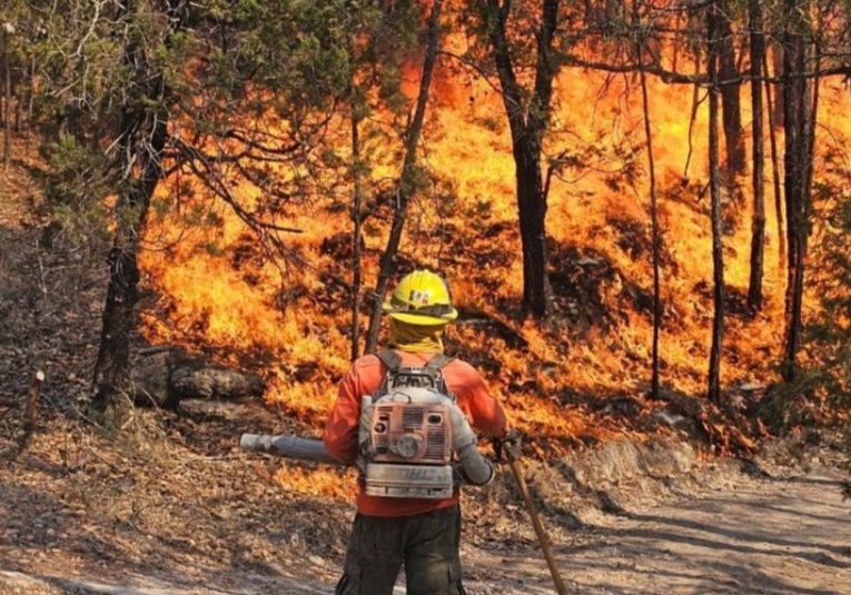 Autoridades califican como exitosa la campaña contra incendios forestales en 2025 autoridades-califican-como-exitosa-la-campana-contra-incendios-forestales-en-2025-134742-134852.jpg