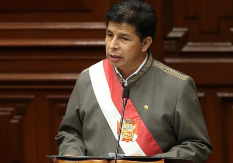 Castillo propone la castración quí­mica para violadores de menores en Perú castillo-propone-la-castracion-quimica-para-violadores-de-menores-en-peru-182007-182036.jpg