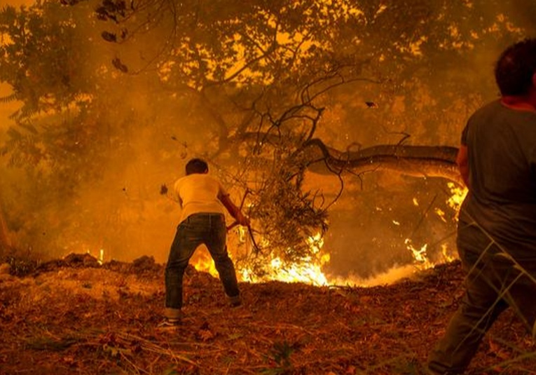 Clima extremo en todo el mundo: entre incendios e inundaciones clima-extremo-en-todo-el-mundo-entre-incendios-e-inundaciones-124509-124607.jpg