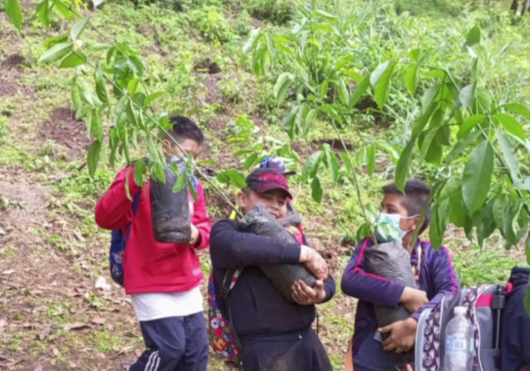 Comuna capitalina inicia proyecto de reforestación en 38 puntos estratégicos comuna-capitalina-inicia-proyecto-de-reforestacion-en-38-puntos-estrategicos-160351-160536.png