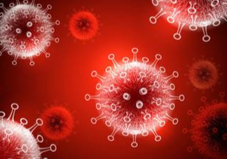 Confirman el primer caso de infección por la variante 'centauro' del coronavirus en los Paí­ses Bajos confirman-el-primer-caso-de-infeccion-por-la-variante-centauro-del-coronavirus-en-los-paises-bajos-170400-170435.jpg