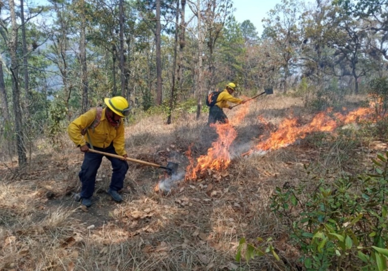 Conred atiende diez focos de incendio y alerta sobre medidas de prevención conred-atiende-diez-focos-de-incendio-y-alerta-sobre-medidas-de-prevencion-133435-133517.jpg
