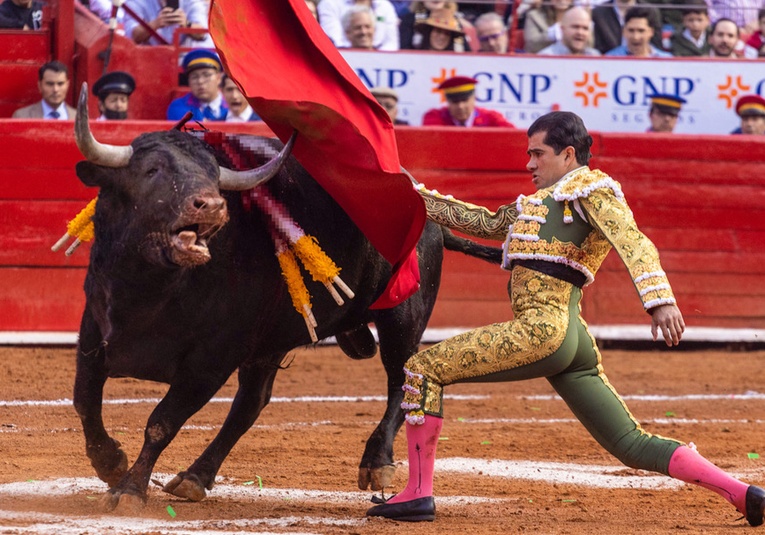 Corridas sin sangre: ¿Qué hay detrás de la propuesta para acabar con el maltrato animal en México? corridas-sin-sangre-que-hay-detr-s-de-la-propuesta-para-acabar-con-el-maltrato-animal-en-mexico-114133-114159.jpg