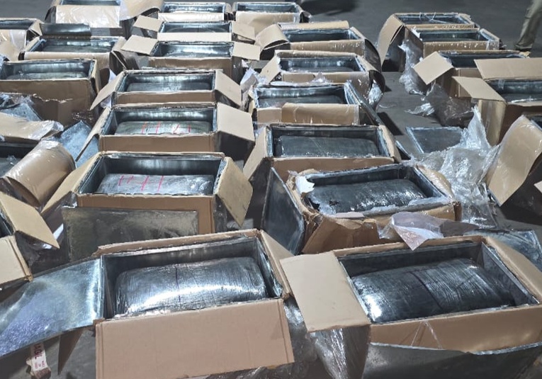 Decomisan marihuana valorada en Q3 millones en puerto Santo Tomás, Izabal