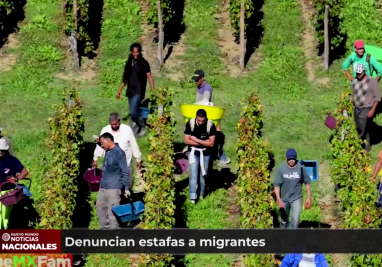 Denuncian estafas a migrantes denuncian-estafas-a-migrantes-145406-145546.png