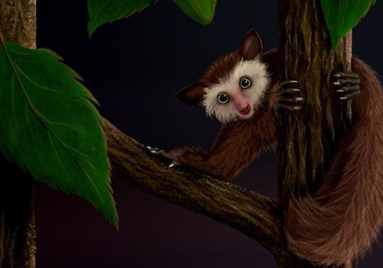 Descubren la procedencia del último primate que habitó América del Norte antes que los humanos descubren-la-procedencia-del-ultimo-primate-que-habito-america-del-norte-antes-que-los-humanos-091831-091931.jpg