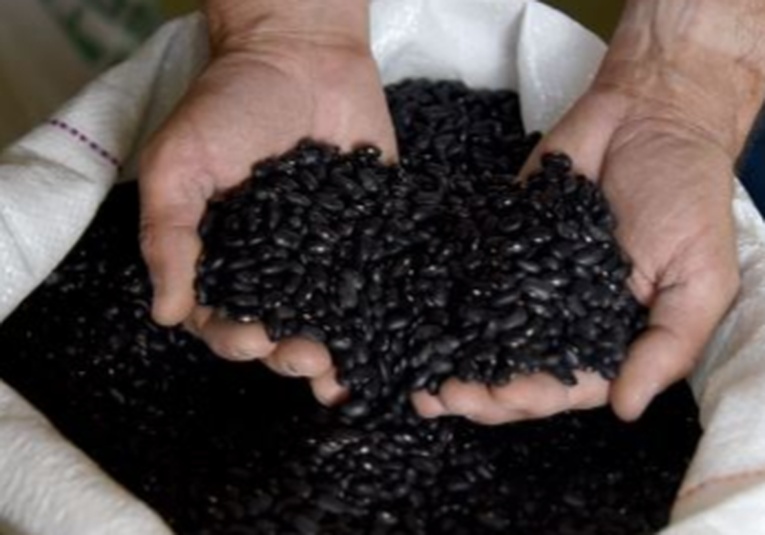 Economía amplía acuerdo para importar 5 mil toneladas de frijol negro sin aranceles