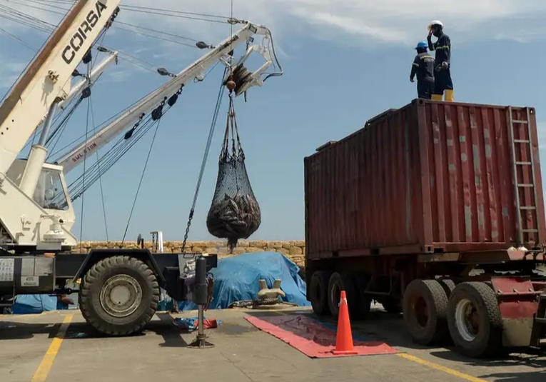 Ecuador impondrá arancel de 27% a importaciones desde México