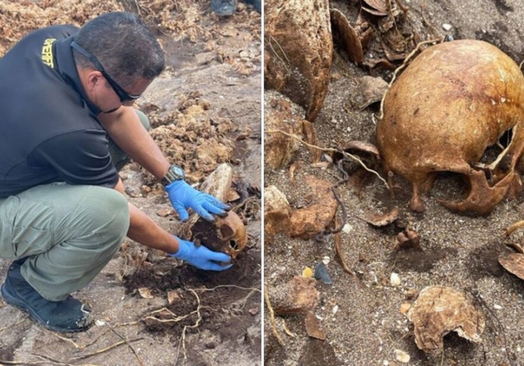 El huracán Nicole desentierra seis esqueletos en Florida