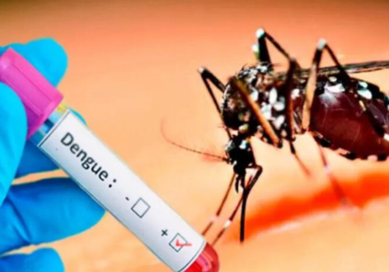 Emergencia sanitaria en aumento: 42,388 casos de dengue y 54 fallecidos en el país emergencia-sanitaria-en-aumento-42-388-casos-de-dengue-y-54-fallecidos-en-el-pais-182031-182108.jpg