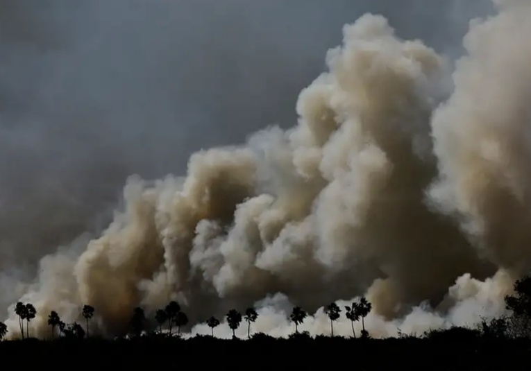 Estado de emergencia por incendios en el Pantanal de Brasil estado-de-emergencia-por-incendios-en-el-pantanal-de-brasil-092331-092355.jpg