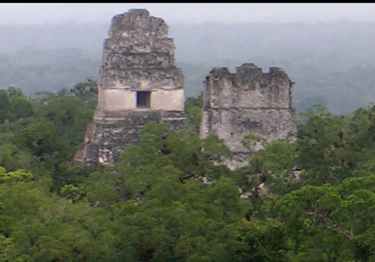 Estados Unidos destina 17 millones de dólares para la conservación de la Biosfera Maya estados-unidos-destina-17-millones-de-dolares-para-la-conservacion-de-la-biosfera-maya-155034-155123.jpg