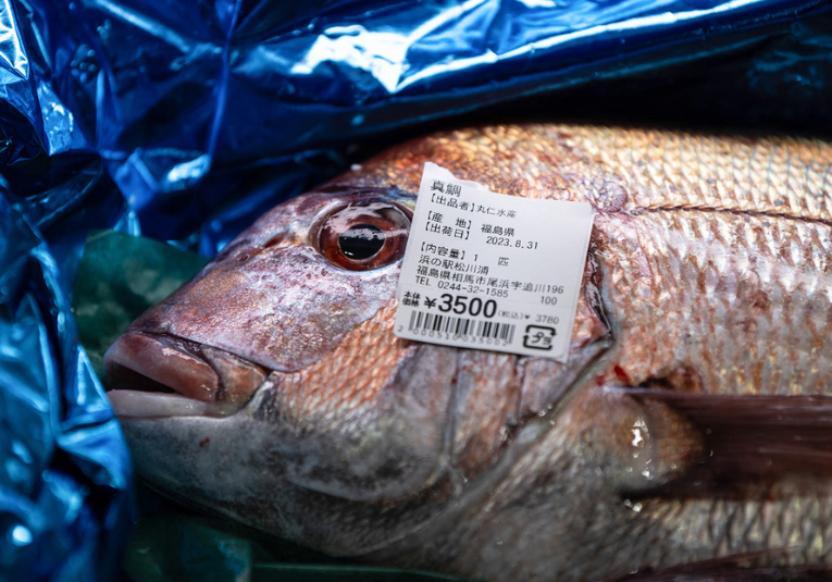 Exportaciones japonesas de mariscos a China se desploman tras el vertido de agua de Fukushima exportaciones-japonesas-de-mariscos-a-china-se-desploman-tras-el-vertido-de-agua-de-fukushima-090634-090643.png