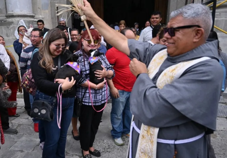 Fieles celebran a San Francisco de Asís llevando a sus mascotas a recibir bendiciones en iglesias del país fieles-celebran-a-san-francisco-de-asis-llevando-a-sus-mascotas-a-recibir-bendiciones-en-iglesias-del-pais-151149-151248.jpg