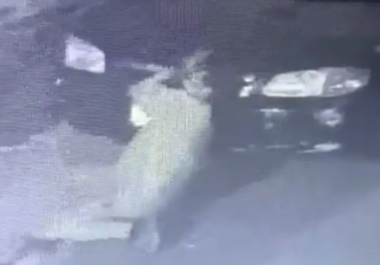VíDEO: Graban a hombre robando baterí­as de carros en la colonia Centroamérica, zona 7  graban-a-hombre-robando-baterias-de-automoviles-124513-124602.png
