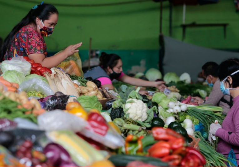 Guatemala adhiere compromiso para impulsar sostenibilidad del sistema alimentario a nivel nacional  guatemala-adhiere-compromiso-para-impulsar-sostenibilidad-del-sistema-alimentario-a-nivel-nacional-175000-175057.png