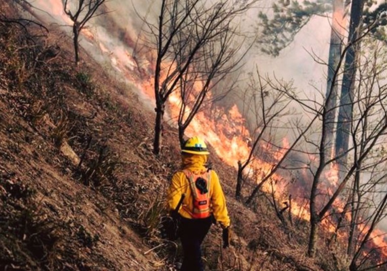 INAB registra de enero a la fecha 78 incendios 48 forestales y 30 de pastizales inab-registra-de-enero-a-la-fecha-78-incendios-48-forestales-y-30-de-pastizales-210857-210949.jpg