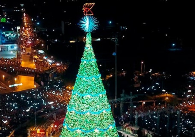 Inauguración del Árbol Gallo ilumina la temporada navideña