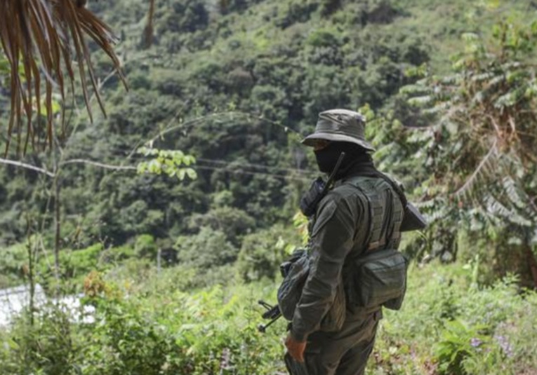 Incautan 2,3 toneladas de cocaí­na a guerrilla del ELN en Colombia incautan-2-3-toneladas-de-cocaina-a-guerrilla-del-eln-en-colombia-190214-190219.jpg