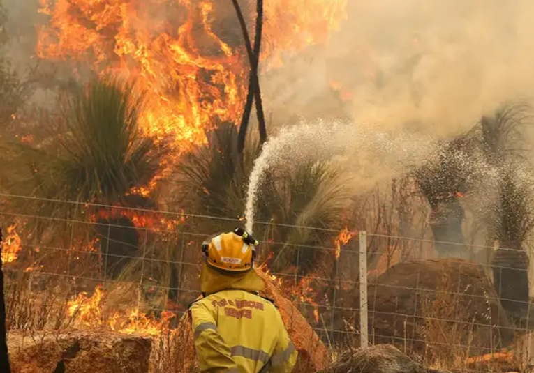 Incendios en Australia obligan a pobladores a huir de casa incendios-en-australia-obligan-a-pobladores-a-huir-de-casa-101929-102013.jpg