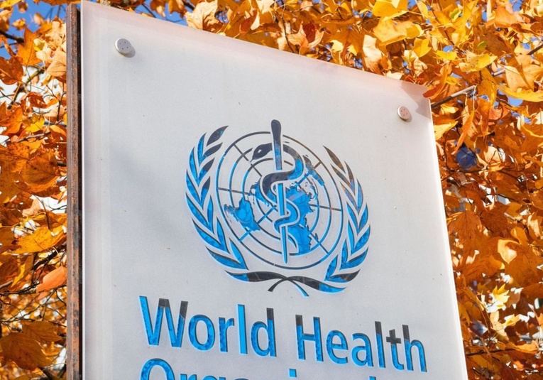 La OMS registra unos 700 casos de hepatitis aguda de origen desconocido en 34 paí­ses la-oms-registra-unos-700-casos-de-hepatitis-aguda-de-origen-desconocido-en-34-paises-162457-162504.jpg