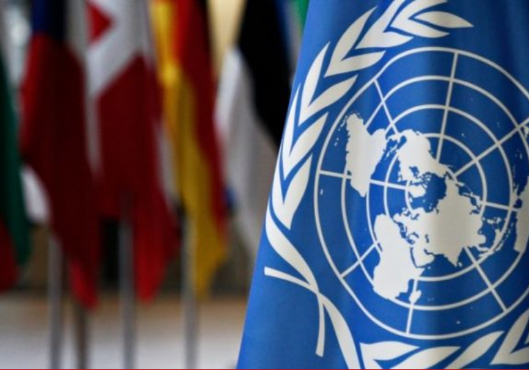 La ONU pide crear una comisión para investigar las violaciones de derechos humanos en Gaza e Israel la-onu-pide-crear-una-comision-para-investigar-las-violaciones-de-derechos-humanos-en-gaza-e-israel-153213-153225.png