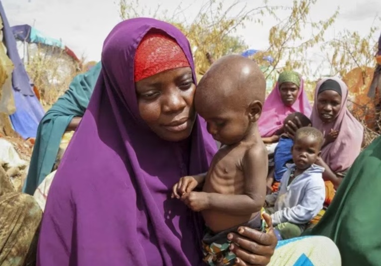 La ONU reporta un aumento del hambre en el mundo la-onu-reporta-un-aumento-del-hambre-en-el-mundo-132401-132457.jpg