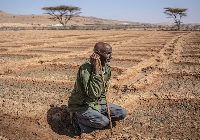 La pandemia del hambre.  El cambio climático acaba con el ganado y la vida nómada en Somalia: Todo se ha convertido en polvo la-pandemia-del-hambre-el-cambio-clim-tico-acaba-con-el-ganado-y-la-vida-nomada-en-somalia-todo-se-ha-convertido-en-polvo-132950-133123.jpg