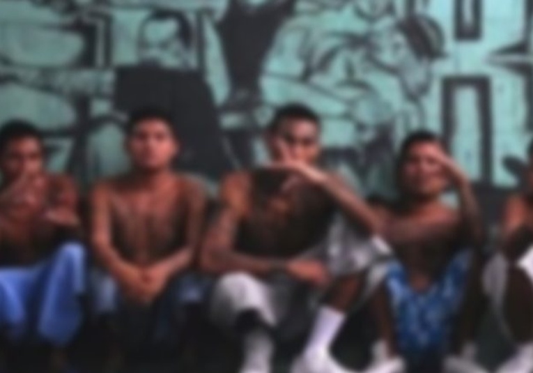 ''Las Maras reclutan a estudiantes de escuelas públicas e institutos del paí­s'', afirmó el ministro de Gobernación las-maras-reclutan-a-estudiantes-de-escuelas-publicas-e-institutos-del-pais-afirmo-el-ministro-de-gobernacion-142311-142316.jpg