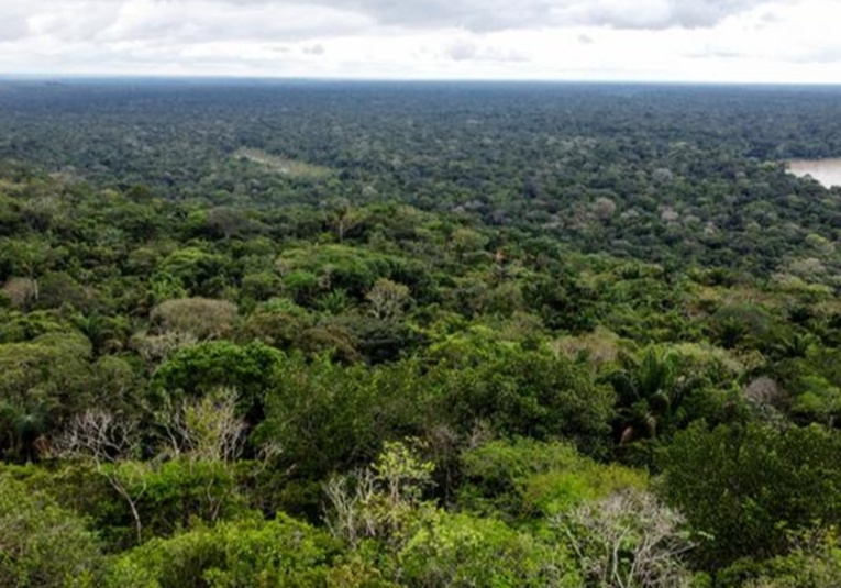 Más de 100 soldados buscan a niños extraviados en Amazonía tras accidente aéreo m-s-de-100-soldados-buscan-a-ninos-extraviados-en-amazonia-tras-accidente-aereo-154034-154039.jpg