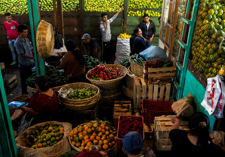 Más de 500 comerciantes de nuevo tienen local en el Mercado La Terminal  m-s-de-500-comerciantes-de-nuevo-tienen-local-en-el-mercado-la-terminal-165543-165633.png