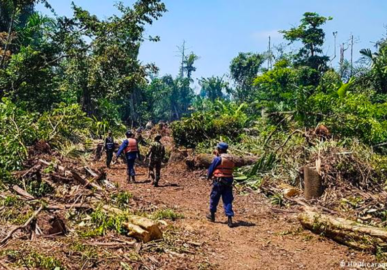 Medio ambiente en peligro de extinción en Nicaragua medio-ambiente-en-peligro-de-extincion-en-nicaragua-093559-093608.png