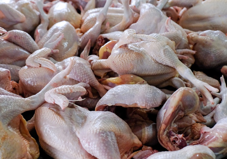 Ministerio de Economí­a busca evitar especulación en precios de carnes de aves por la gripe aviar ministerio-de-economia-busca-evitar-especulacion-en-precios-de-carnes-de-aves-por-la-gripe-aviar-183419-183740.jpg