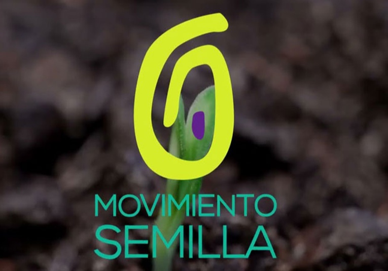MP señala que resolución de la CC sobre Semilla podría contravenir orden judicial mp-senala-que-resolucion-de-la-cc-sobre-semilla-podria-contravenir-orden-judicial-173107-173117.jpg