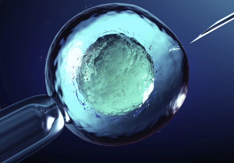 Nace el primer bebé británico con ADN de tres personas