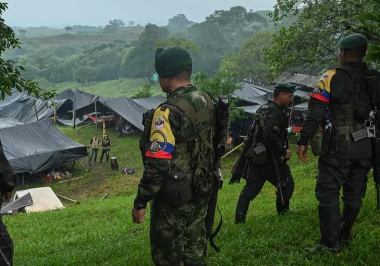 OEA alerta de inseguridad en el sur de Colombia oea-alerta-de-inseguridad-en-el-sur-de-colombia-145845-145855.jpg
