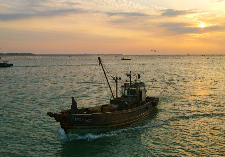 Perú controlará por satélite los barcos extranjeros tras denuncias de pesca ilegal peru-controlar-por-satelite-los-barcos-extranjeros-tras-denuncias-de-pesca-ilegal-093248-093315.jpg