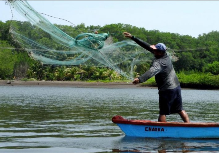 Presentan iniciativa de ley de subsidio para pescadores que se harí­a efectivo durante veda presentan-iniciativa-de-ley-de-subsidio-para-pescadores-que-se-haria-efectivo-durante-veda-184401-184514.jpg