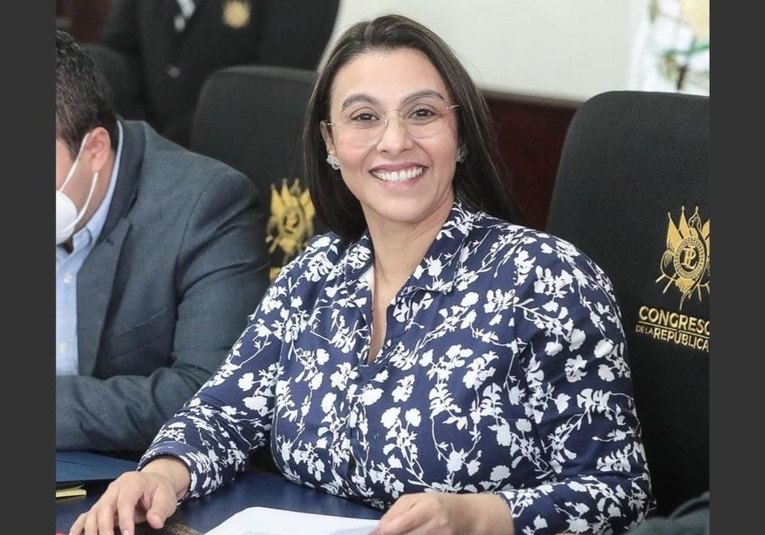 Presidenta del congreso espera dictamen jurídico para definir futuro de bancada SEMILLA presidenta-del-congreso-espera-dictamen-juridico-para-definir-futuro-de-bancada-semilla-204445-204531.jpg