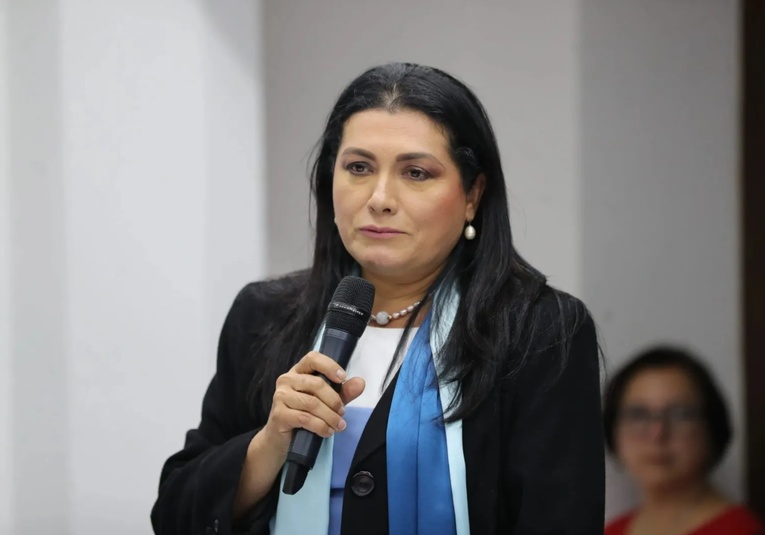 Presidenta del Tribunal Supremo Electoral minimiza solicitud de antejuicio contra magistrados