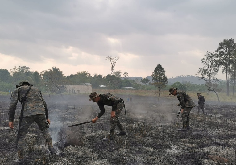 Quince incendios forestales que se mantienen activos se ubican en el departamento del Petén