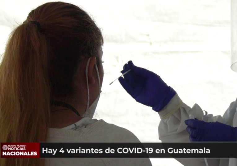 Resultados de laboratorios afirman que hay 4 variantes de COVID-19 en el paí­s resultados-de-laboratorios-afirman-que-hay-4-variantes-de-covid-19-en-el-pais-135029-135144.png