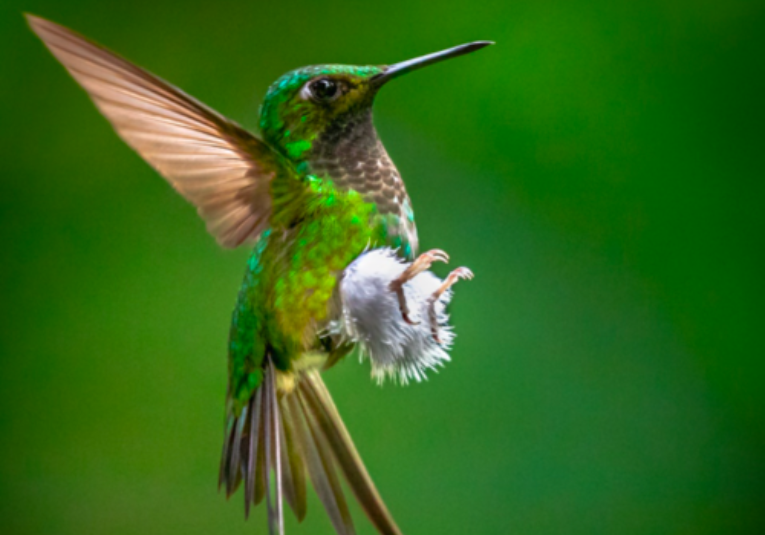 Richard Gándara, ganador guatemalteco en la World Photographic Cup 2022.