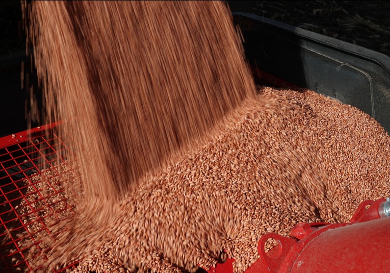 Rusia y China firman su mayor contrato para el suministro de cereales rusia-y-china-firman-su-mayor-contrato-para-el-suministro-de-cereales-090319-090435.jpg
